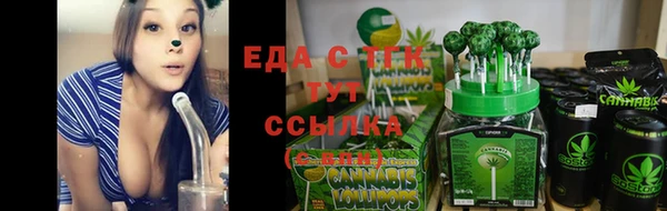 дживик Новозыбков