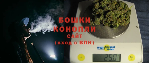 дживик Новозыбков