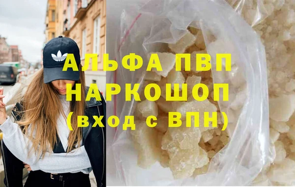 дживик Новозыбков