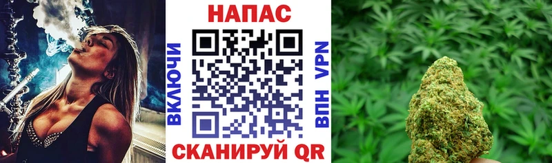Конопля сатива  mega зеркало  Новомичуринск 